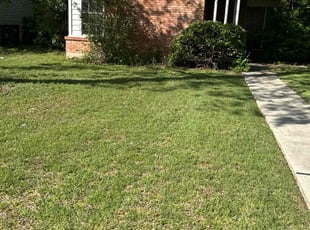 Bush Trimming by Lacy Dixon for Dawn G. in Universal City, TX