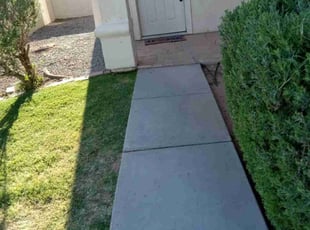 Bush Trimming by Antonio Sanchez for Chris V. in Mesa, AZ