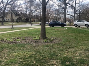 Cleanups by Demetrius Bennett Jr for Nunzio T. in Lakewood, OH