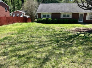 Chad H.'s Lawn Maintenance service result
