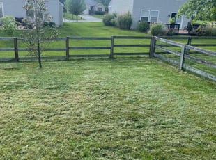 LuAnn P.'s Lawn Mowing service result