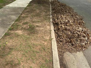 Cleanups by Miguel Rivera for Patrick H. in Haymarket, VA