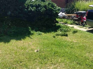 Bush Trimming by Darryl Jernigan for Danielle C. in St. Louis, MO