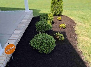 Mulching by Jamie Hooks for Stacy R. in Knoxville, TN