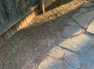 Cleanups by David Taylor for Bonnie C. in Denver, CO