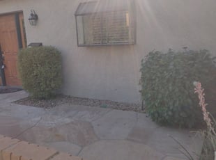 Bush Trimming by William Townsend for Jackie T. in Phoenix, AZ