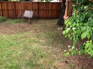 Cleanups by Jose Duarte for Dianna c. in Kirkland, WA