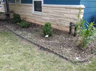 Bush Trimming by Hussein Kamel for Roberto P. in Austin, TX