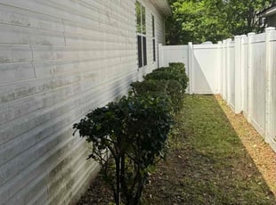 Bush Trimming by Delson Auguste for Stephanie S. in Middleburg, FL