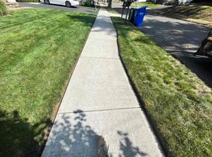 Bush Trimming by Kevin Preneta for Karen H. in West Haven, CT