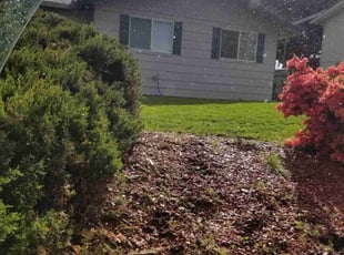 Lee M.'s Lawn Service service result