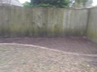 Cleanups by Joel Kelly for Annie H. in Houston, TX