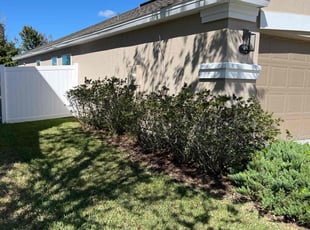Weeding by Sean McKenna for Amber C. in Saint Johns, FL