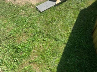 Leaf Removal by Darrell Millner for Joseph M. in Melrose Park, PA