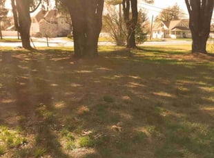 Cleanups by Michael Iannotta for Harold S. in Ronkonkoma, NY