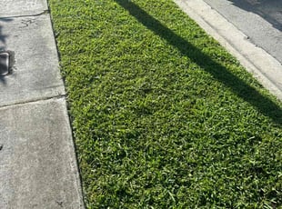 Lisa P.'s Lawn Maintenance service result