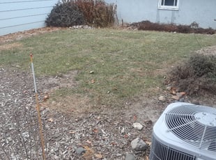 Leaf Removal by Ezekiel Stanley for Aweys S. in Maplewood, MN