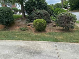 Bush Trimming by Courtland Davis for Josh A. in Lawrenceville, GA
