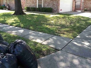 Leaf Removal by Donovan Perry for Michael G. in Houston, TX