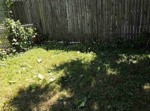 Bush Trimming by Richard Solier for Rushi P. in Roselle Park, NJ