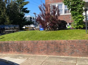 Bernard B.'s Lawn Mowing service result