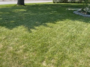 Vincent C.'s Lawn Service service result
