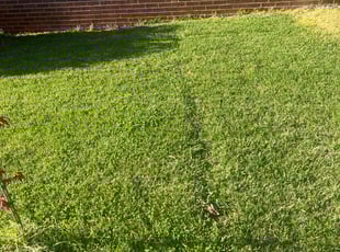 Kathy L.'s Cleanups service result