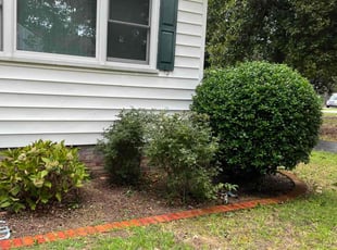 Weeding by Darnell Sanders for Scott H. in Virginia Beach, VA