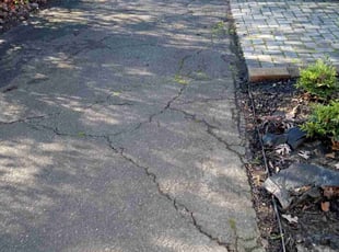 Leaf Removal by Steven Price for Jordan K. in Richmond, VA