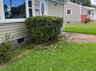 Bush Trimming by Valera Swearngin for David M. in Virginia Beach, VA