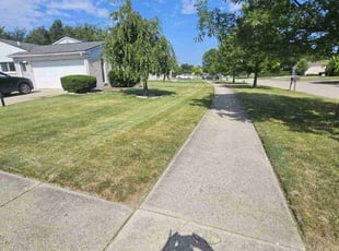 Randolph W.'s Lawn Service service result