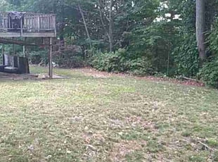 Leaf Removal by Ethan Poissant for Joan R. in Worcester, MA