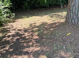 Leaf Removal by Edward Burrus for Brett L. in Norfolk, VA