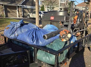 Leaf Removal by Ryan Reitzel for David J. in Woodbury, MN