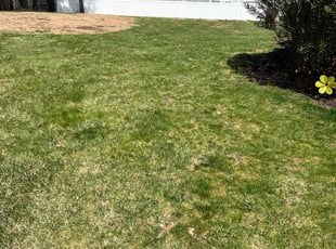 Leaf Removal by Kenneth Mccarthy for Jack S. in Glastonbury, CT