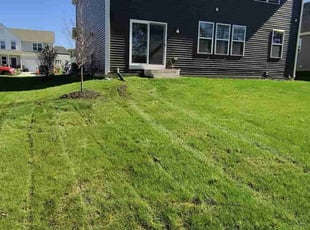 Elleigh B.'s Lawn Service service result