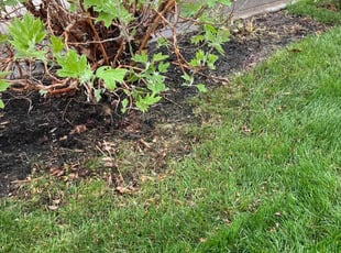 Cleanups by Daniel Bunch for John M. in Columbus, OH
