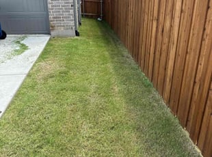 Phyllis T.'s Cleanups service result