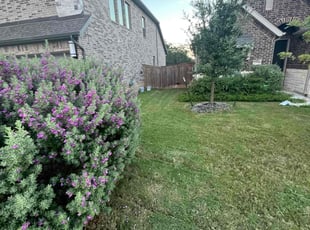 Cynthia W.'s Grass Cutting service result