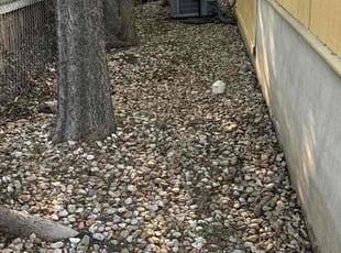Cleanups by Franklin Garcia for Jay P. in Austin, TX