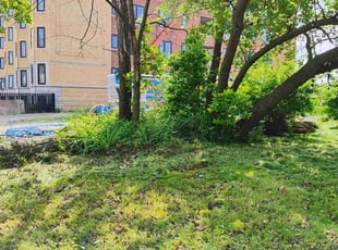 Cleanups by Shane Palmer for James C. in Detroit, MI