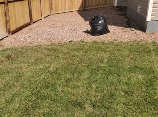 Cleanups by Yvette Vigil for Lisa L. in Fountain, CO