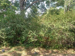 Bush Trimming by Lance Reynolds for Emily K. in Kansas City, MO
