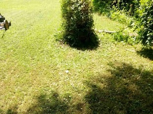 Bush Trimming by Darius Baugh for Scott G. in Atlanta, GA