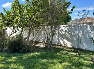 Joshua D.'s Leaf Removal service result