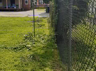 Bush Trimming by Tailan Swayze for Tangelia C. in Pottstown, PA