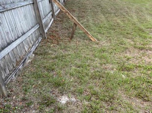 Cleanups by Edwin Rios Rosado for Roman X. in Deltona, FL