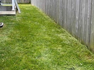 Suzanne Z.'s Lawn Care service result