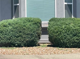 Bush Trimming by Sedrick Wesley for Gretchen J. in Kansas City, MO