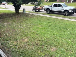 Hope S.'s Cleanups service result